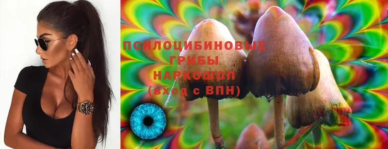 Псилоцибиновые грибы Magic Shrooms  где найти   Советский 